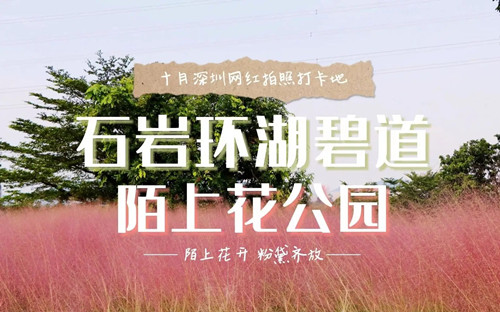 深圳10月有什么花 10月賞花好去處推薦