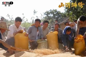 山河錦繡柳大滿角色介紹 柳大滿扮演者是誰