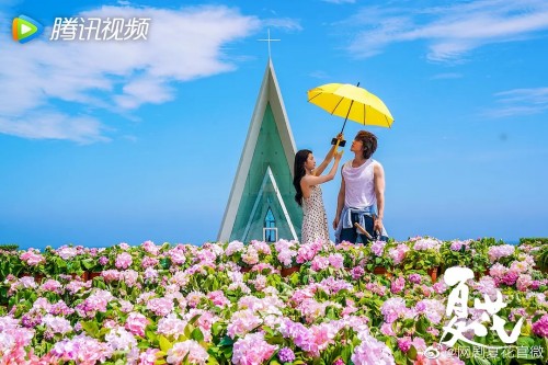 夏花是悲劇嗎 夏花言承旭的結(jié)局是怎樣