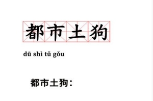 都市土狗是什么意思網(wǎng)絡(luò)語(yǔ)