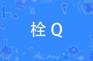 栓q網(wǎng)絡(luò)用語(yǔ)是什么意思