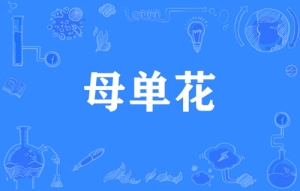 網絡用語母單花是什么意思