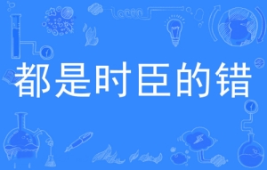 網(wǎng)絡用語都是時臣的錯是什么梗