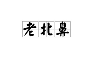 網(wǎng)絡用語老北鼻是什么梗