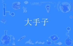 網(wǎng)絡用語大手子是什么梗