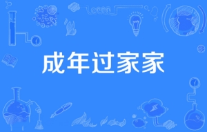 網(wǎng)絡用語成年過家家是什么梗