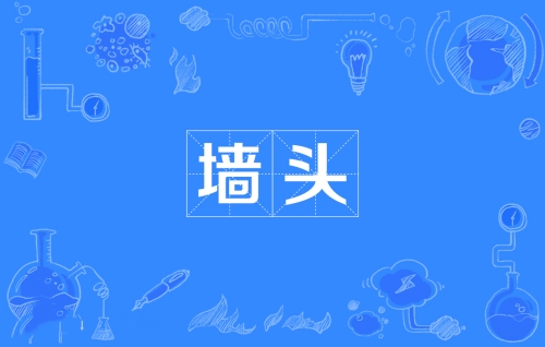 網(wǎng)絡(luò)用語墻頭是什么梗