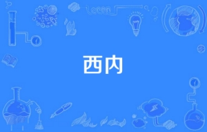 網(wǎng)絡用語西內(nèi)是什么梗