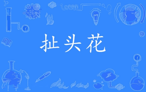 網(wǎng)絡(luò)用語扯頭花是什么梗