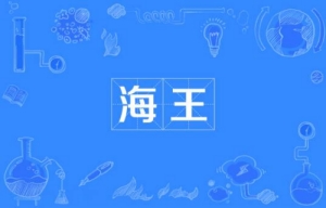 網(wǎng)絡用語海王是什么梗