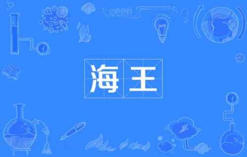 網(wǎng)絡(luò)用語(yǔ)海王是什么梗