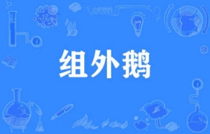 網絡用語組外鵝是什么梗