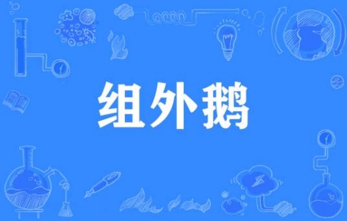 網絡用語組外鵝是什么梗