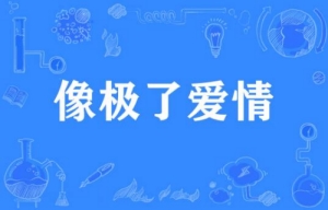 網絡流行詞像極了愛情是什么梗