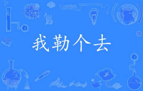 網(wǎng)絡用語我嘞個去是什么梗