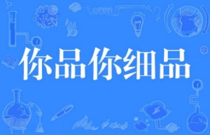 網(wǎng)絡用語你品 你細品是什么梗