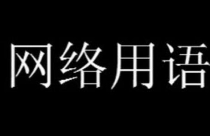 網(wǎng)絡(luò)用語(yǔ)難道他真的是天才是什么梗