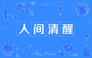 網(wǎng)絡流行詞人間清醒是什么梗