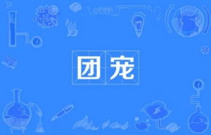 網(wǎng)絡(luò)用語團(tuán)寵是什么梗