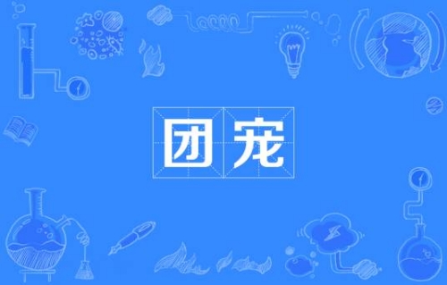 網(wǎng)絡(luò)用語團(tuán)寵是什么梗