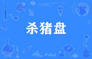 網(wǎng)絡用語殺豬盤是什么梗 殺豬盤梗意思介紹