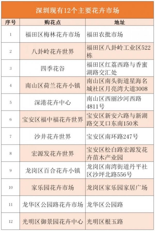 2024南山區(qū)迎春花市時(shí)間及地點(diǎn)一覽