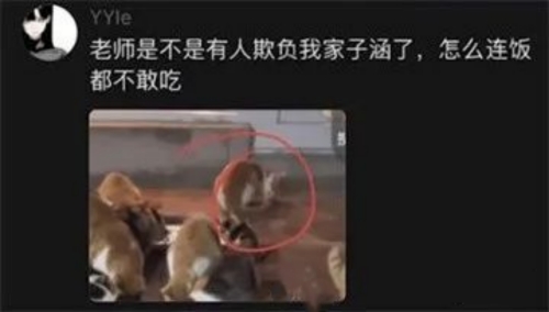 我們家子涵是什么梗 我們家子涵梗意思介紹