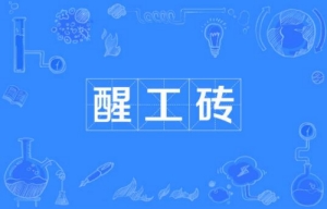 網(wǎng)絡用語醒工磚是什么梗