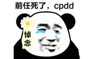 cpdd是什么梗 cpdd梗意思介紹