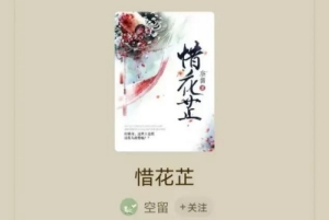 電視劇《惜花芷》是根據(jù)小說改編的嗎