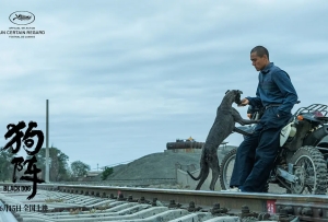 《狗陣》定檔6月15日全國上映 彭于晏、佟麗婭領(lǐng)銜主演