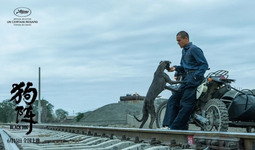 《狗陣》定檔6月15日全國上映 彭于晏、佟麗婭領(lǐng)銜主演