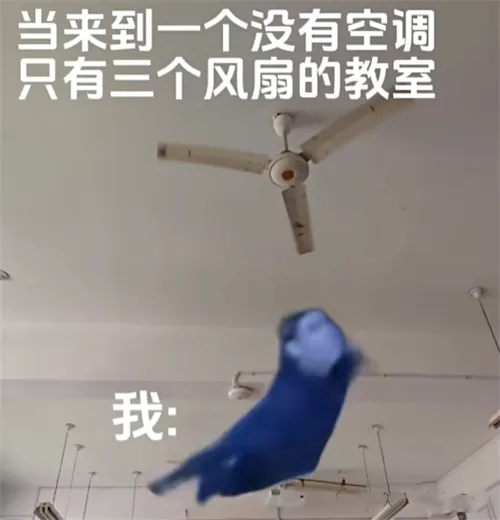 hero死了是什么梗 hero死了梗意思介紹